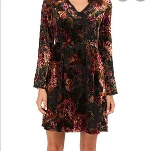 kut from the kloth  Velvet  dress